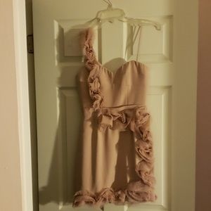 BCBG Blush Cocktail Dress